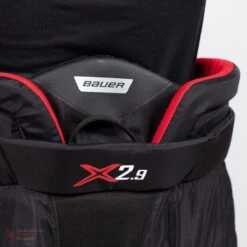 Bauer Vapor X2.9 Senior Goalie Pants -Hockey Series Store bauer goalie pants bauer vapor x2 9 senior goalie pants 5496832557122